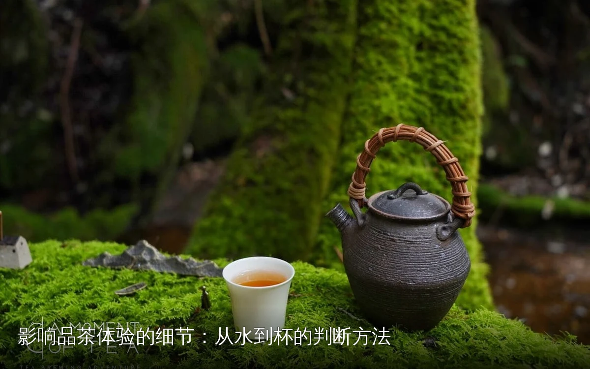 主题场景配图,仅作示意