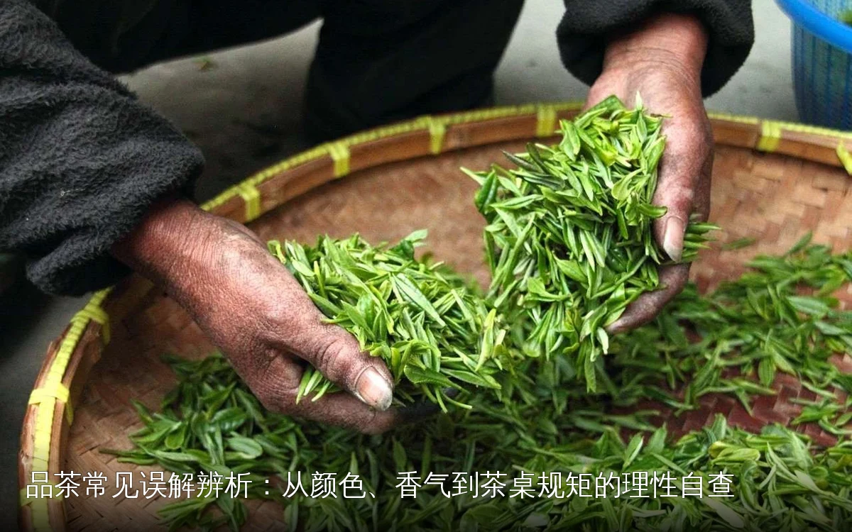 品茶常见误解辨析：从颜色、香气到茶桌规矩的理性自查